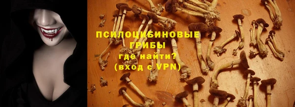 прущие крисы Нея