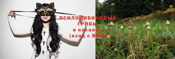 мет Аркадак