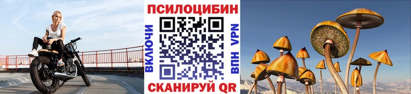 Псилоцибиновые грибы мухоморы  Купить закладки  Константиновск 